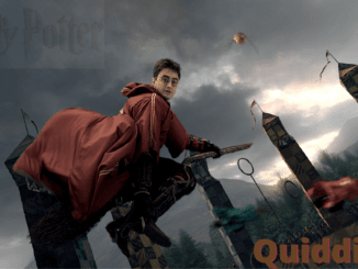 Quidditch Nedir