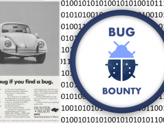 Bug Bounty Nedir