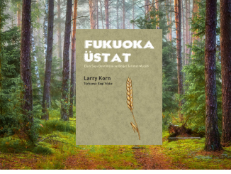 fukuoka ustat