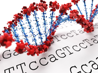 dna veri depolama