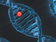 dna veri depolama