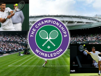 wimbledon finali carlos alcaraz vs novak djokovic